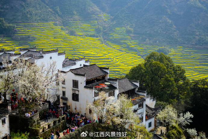 江西，亲爱的听众朋友们，大家好！