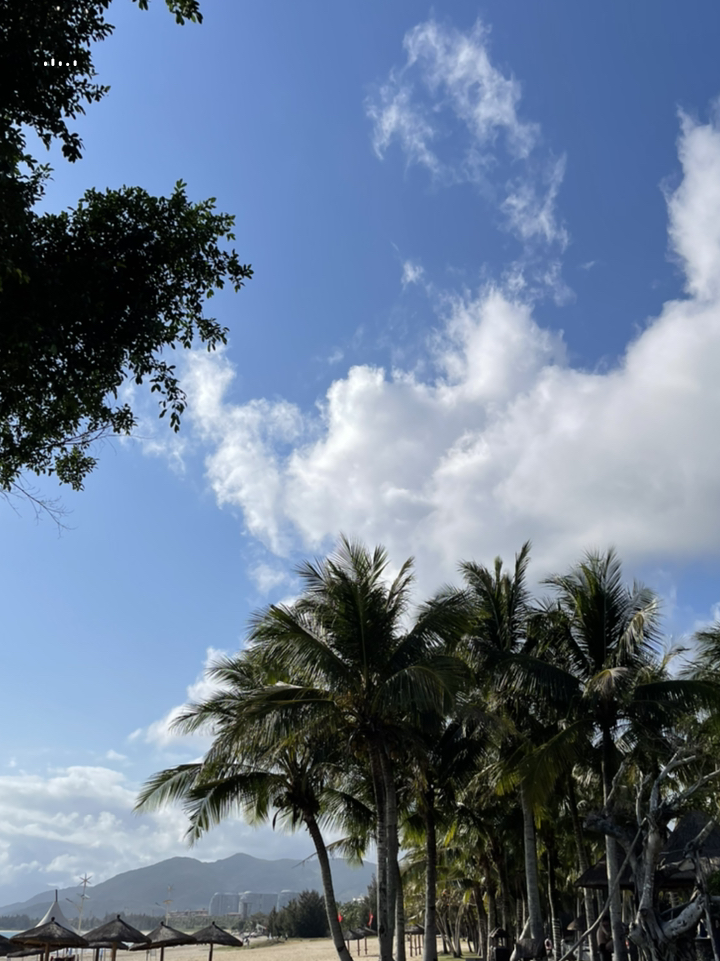 探寻海南深巷,邂逅独特风情的隐藏小店